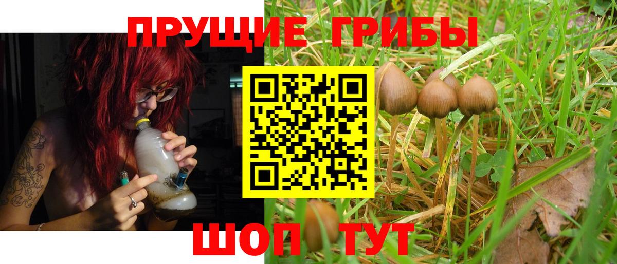 Галлюциногенные грибы GOLDEN TEACHER  где купить   Псилоцибиновые грибы мухоморы  Гагарин  Вход с VPN 